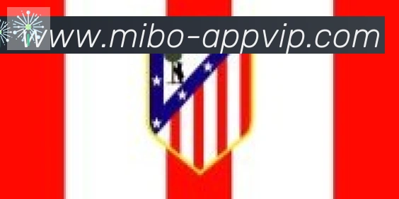 米博体育合作伙伴